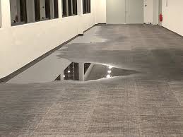 Carpets hold more moisture